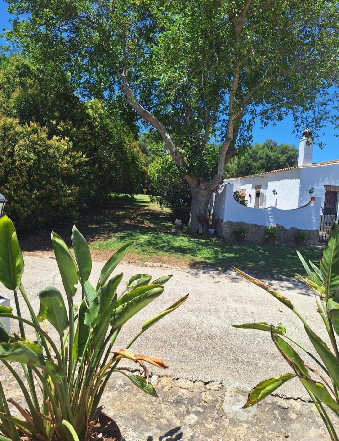 וחר דה לה פרונטרה Casa Rural El Nino Santamaria , Con Piscina Y Wifi מראה חיצוני תמונה